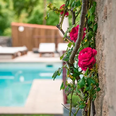 Penzion Casa Da Varzea - Serra Da Estrela Fornos de Algodres