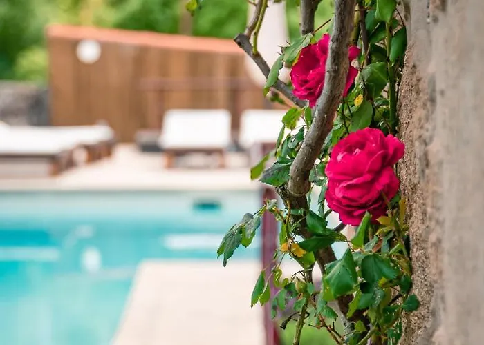 Casa de hóspedes Casa Da Várzea - Serra Da Estrela Fornos de Algodres